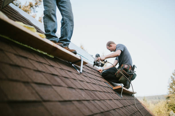 Roof Gutter Cleaning in Pierceton, IN